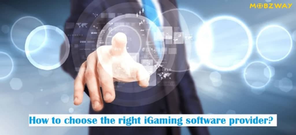 How to Choose the Right iGaming Software Provider?