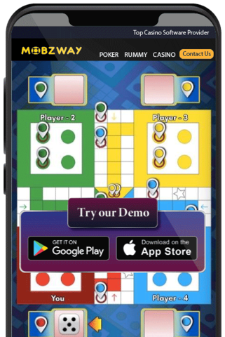 rummy experience