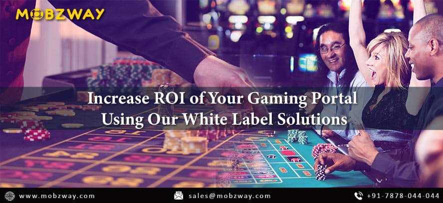 Increase ROI of Your Gaming Portal Using Our White Label Solutions