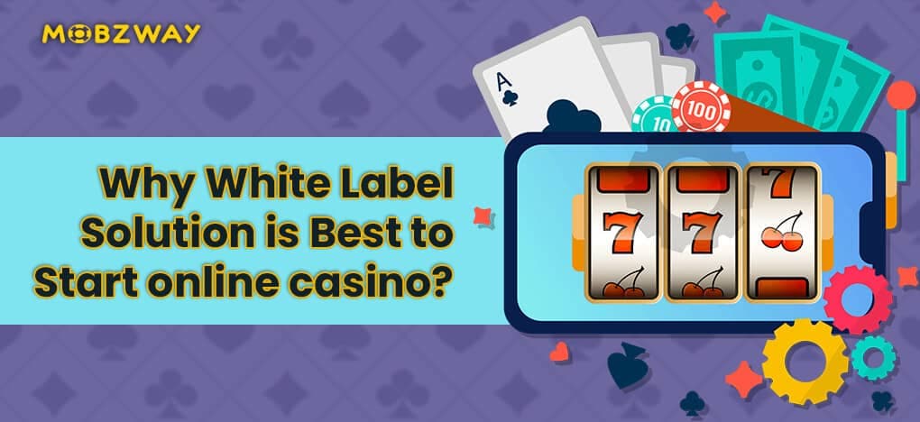 Why White Label Solution is Best to Start Online Casino?